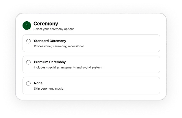 Website options panel