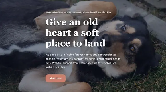 Senior pet rescue website