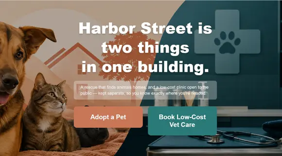 Animal shelter website template