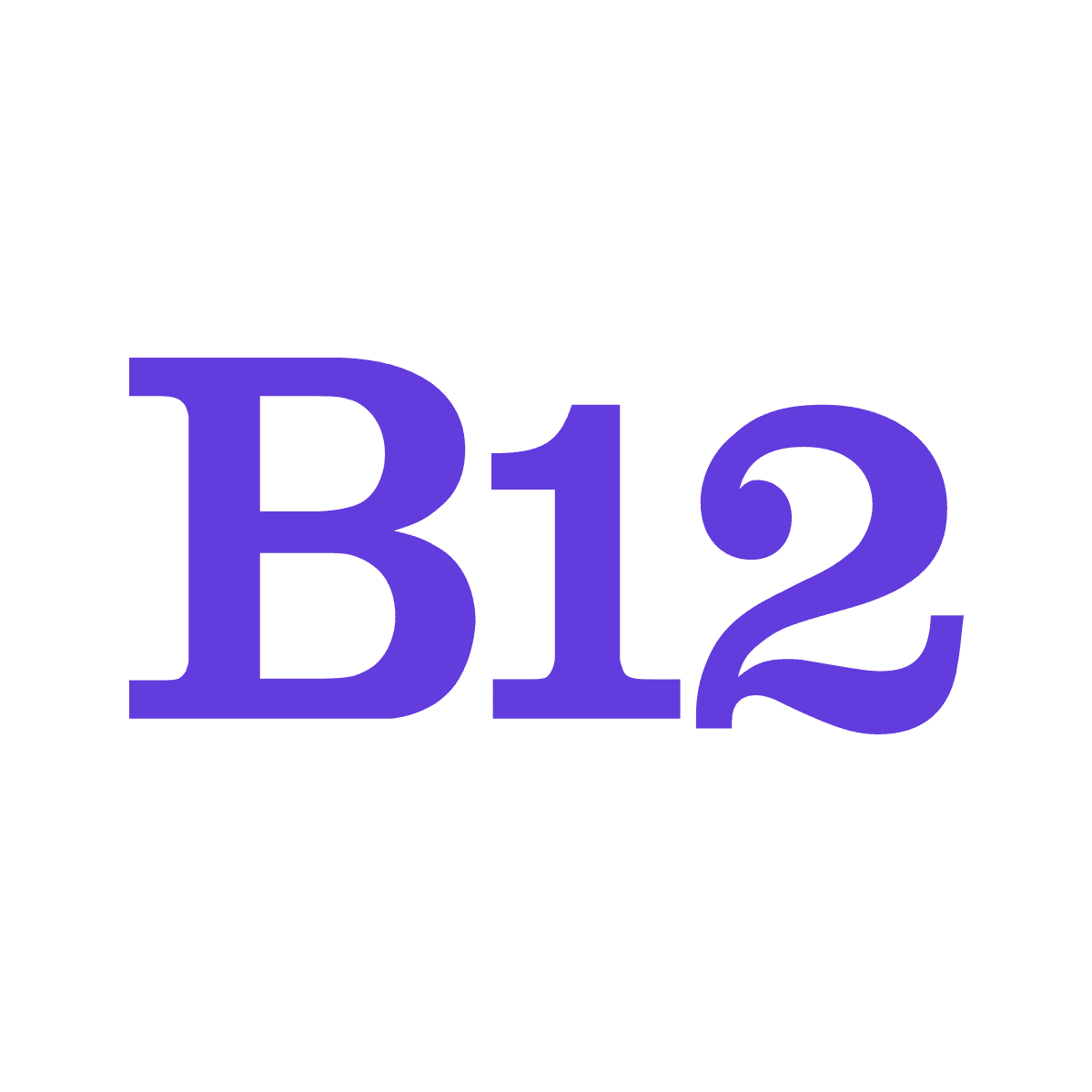 Toezicht houden suspensie Vermoorden A better way to run your business online | B12