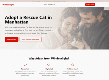 B12 is giving free websites to 25 NYC animal rescues