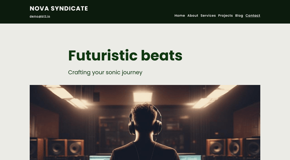 Music producer website