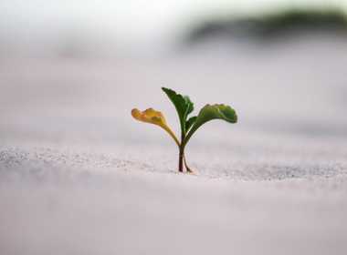 Secrets that you don't know about growth-driven web design