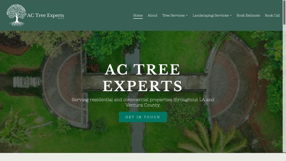 AC Tree Experts
