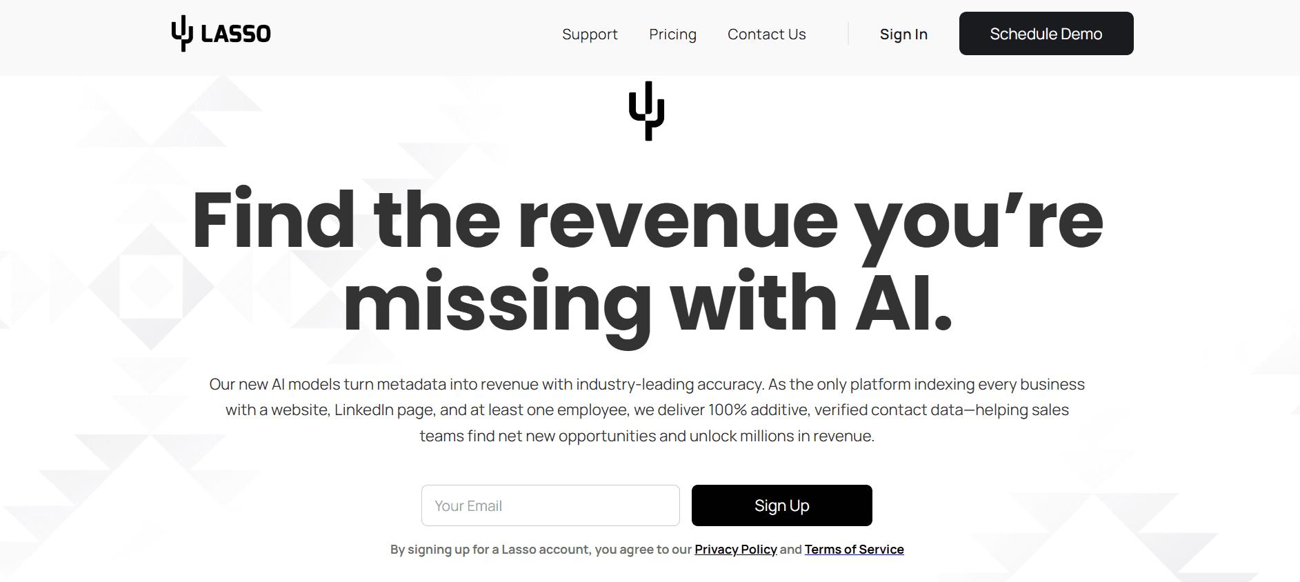 Lasso AI - Unlock Hidden Revenue and Find Your Missing Leads